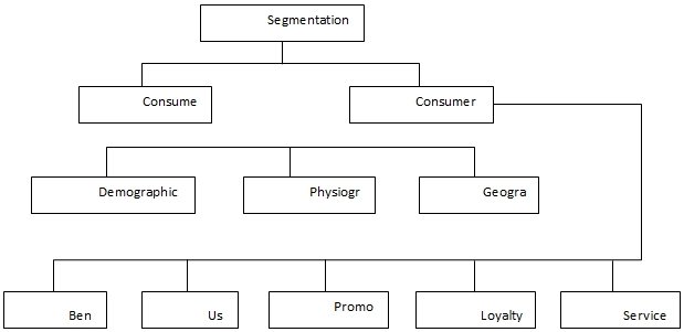 The figure shows some market segmentation methods used for products and services.