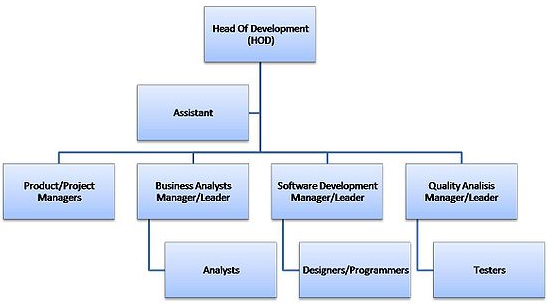 Matrix management structure.