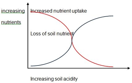 Relationship between soil acidity and nutrients.
