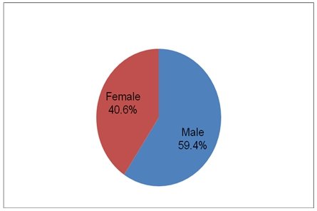 Respondents for the 1st survey - pie chart.