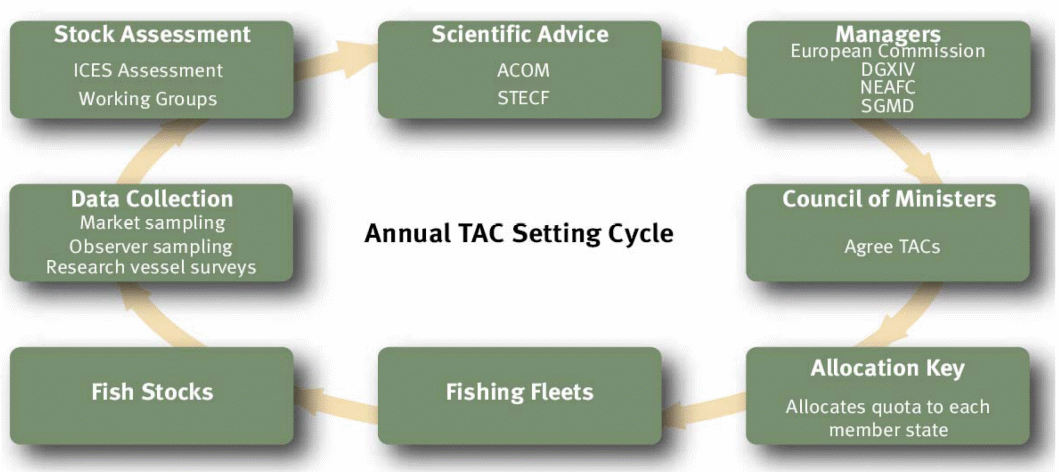 TAC fishing quota management