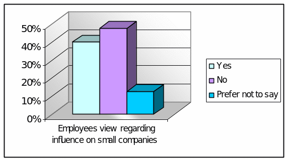 Employees view regarding influence on small companies