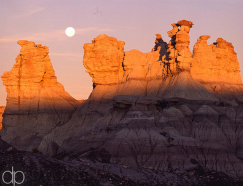 Petrified Forest National Park