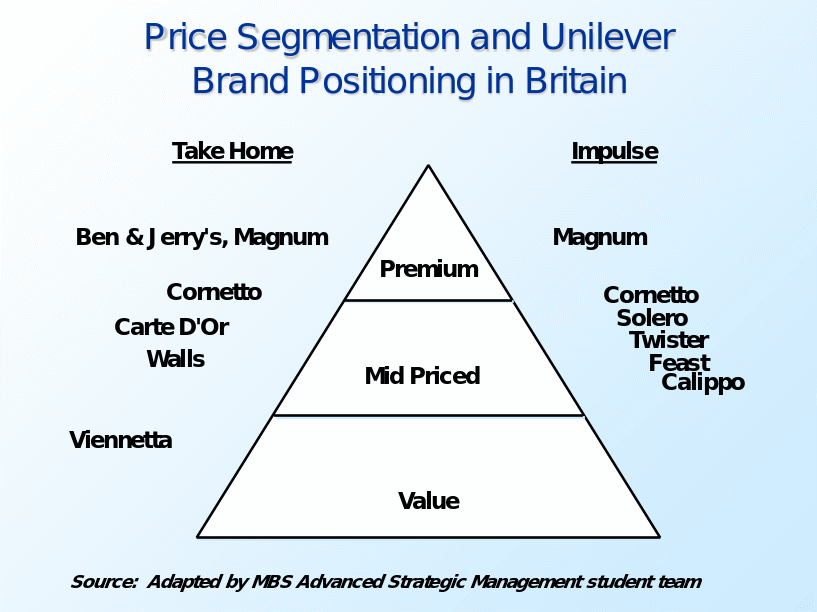 Price Segmentation and Unilever Brand Positioning in Britain