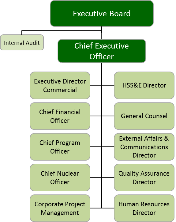 The nuclear energy department of the UAE consists of the executive board, the internal audit department, the chief executive officer, and other departments, which function under the chief executive officer