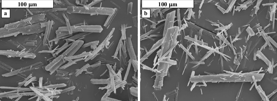 Scanning electron microscope images of the crystals obtained from crystallization using 0.0886% of nitrates (a) and 0.443% of nitrates (b)