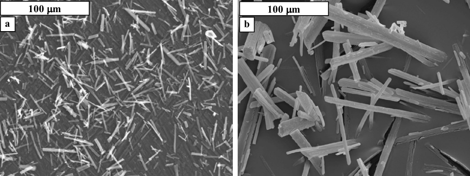 Scanning electron microscope images showing the effect of pH and reaction time on the size of crystal formed. In (a), the conditions were pH 11 and a reaction time of 15 minutes, whereas in (b) the conditions were pH 9 and a reaction time of one hour. The concentration of nitrate (V) ions in both cases was 0.0886%