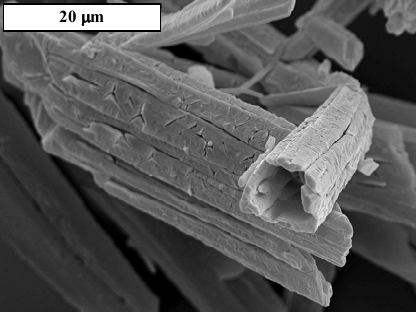 The morphology of struvite crystals produced in the presence of copper (II) ions