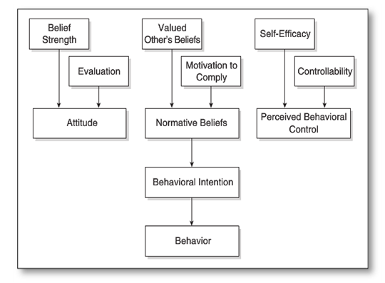 The various aspects of the planned behavior model