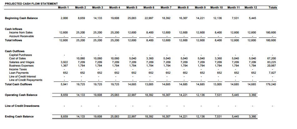 Projected cash flow statement