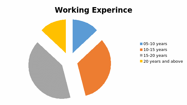 Working Experience