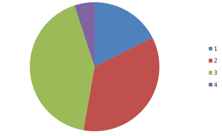 Age group pie chart.