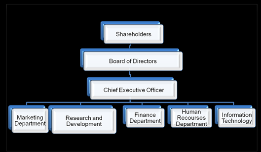 PeFlo Incorporation Organizational structure.