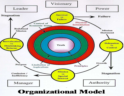 Organizational model.