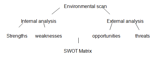 Systematic diagram showing how SWOT analysis fits into the environmental scan.