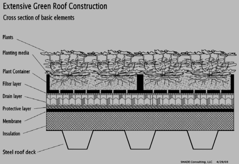 Extensive Green roofs