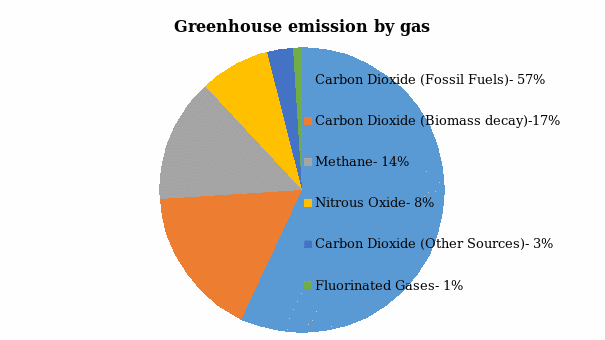 Magnitude of greenhouse emissions by gas type