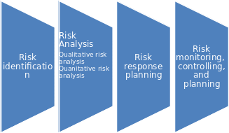 Project Risk Management