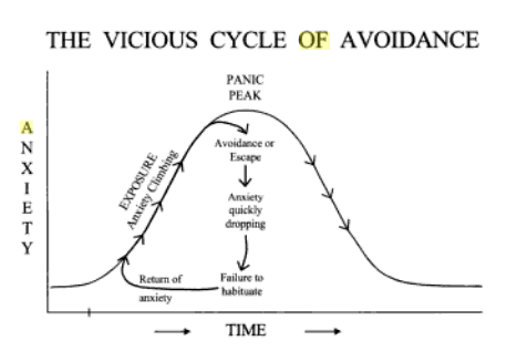 The vicious Cycle of Avoidance