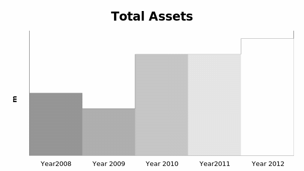 Total Assets