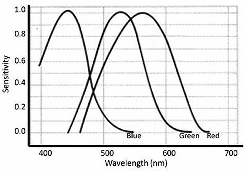 Figure showing different wavelengths of the different colors
