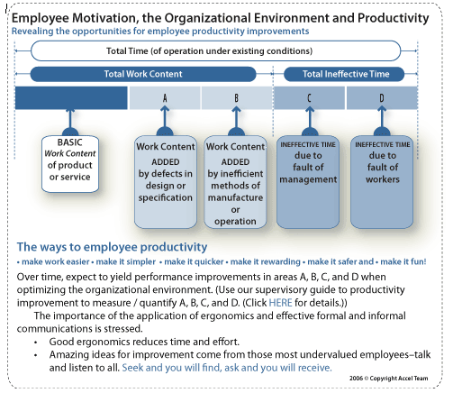 Employee motivation, the organizational environment and productivity
