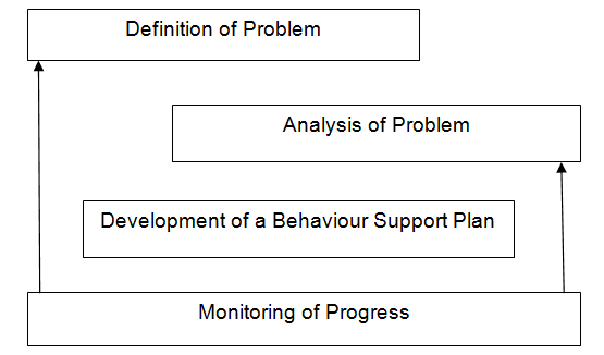 Formulating a behaviour support plan