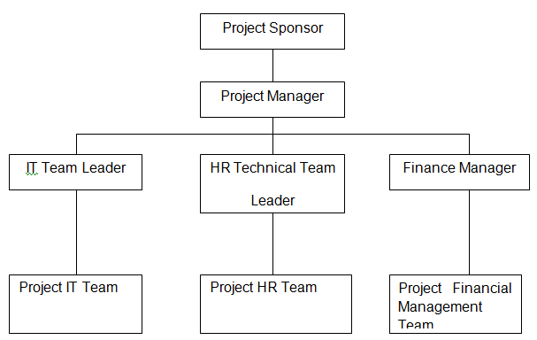 Project Management Structure