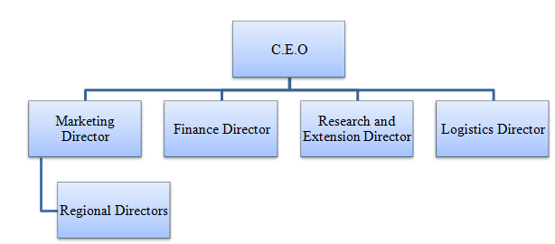 The Global Management Structure