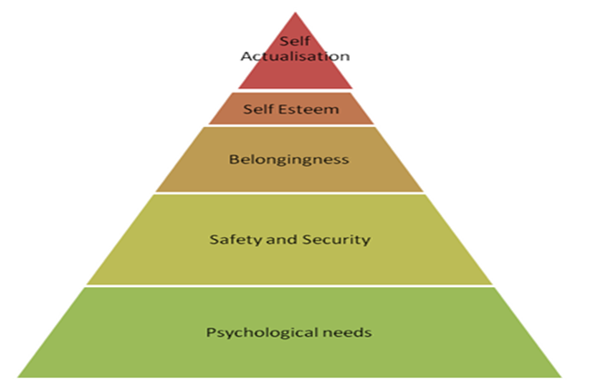 The Maslow’s hierarchy of needs theory, Lion Nathan will develop an appropriate reward system for its workers