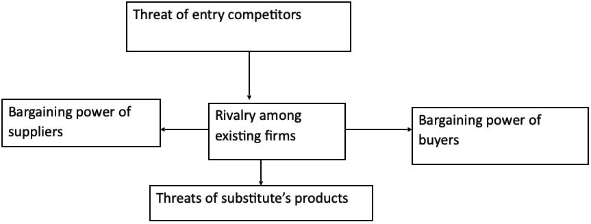 The Porter's Five Forces Model of the Company Analysis
