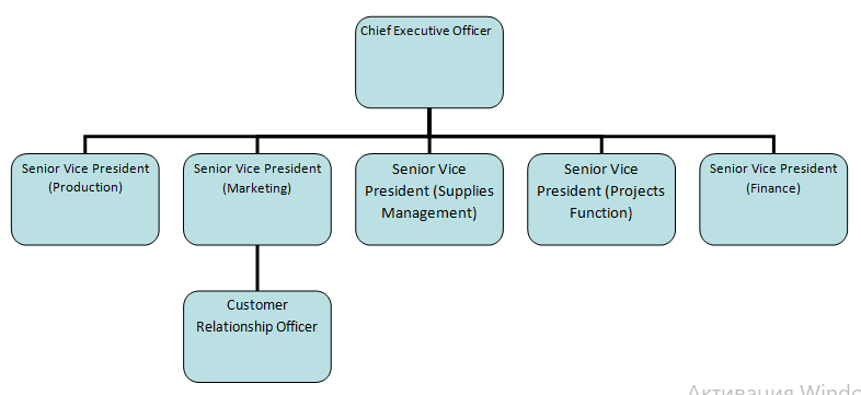 The hierarchies of the management unit at this firm