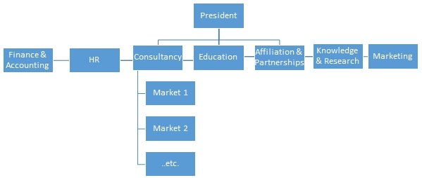 Below is the organisational structure of the Palladium group