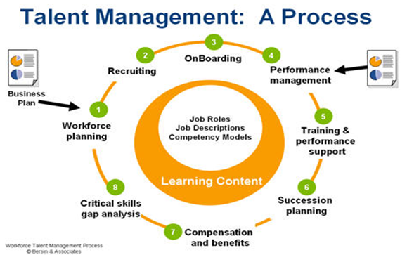 The process of talent management