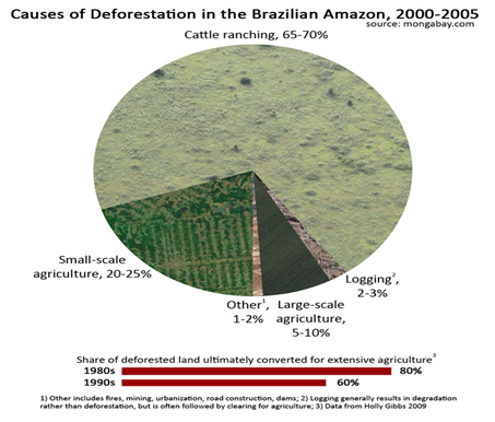 Causes of deforestation in the brazilian amazon 2000 - 2005