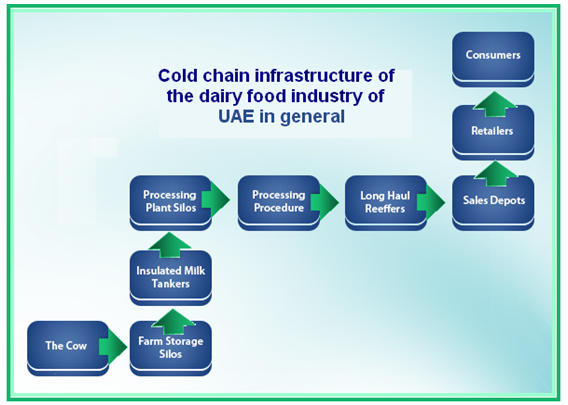Cold chain infrastructure of the dairy food industry of UAE in general