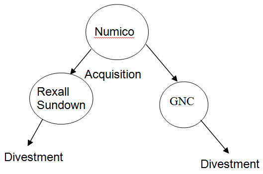 Numico’s strategy 