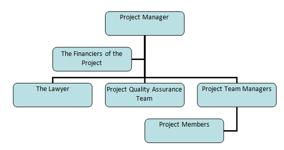 The hierarchy of the project members