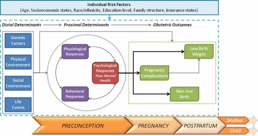 Figure 1 Individual Risk Factors