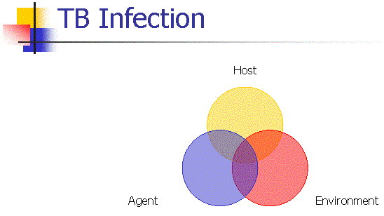 TB infection