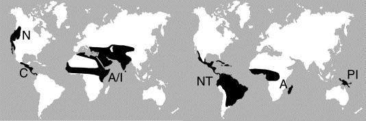 Geographic distribution of the Boidae