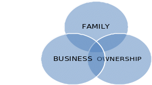 Parallel Planning to unify the family and business