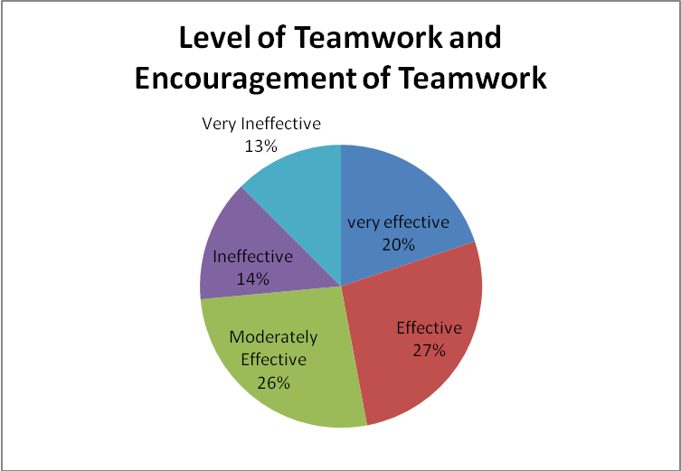 Level of teamwork and encouragement of teamwork
