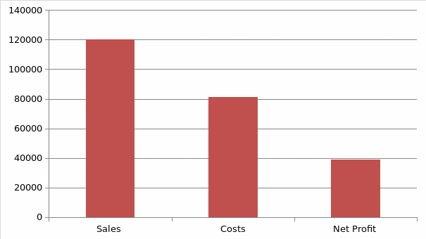 Financial Projection for the First Year