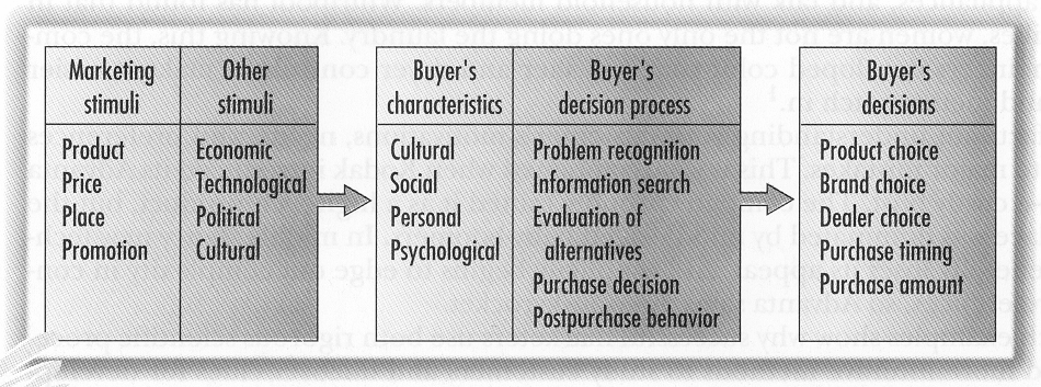 Model of the customer behavior