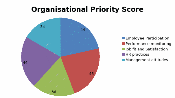 Organisational priority score.