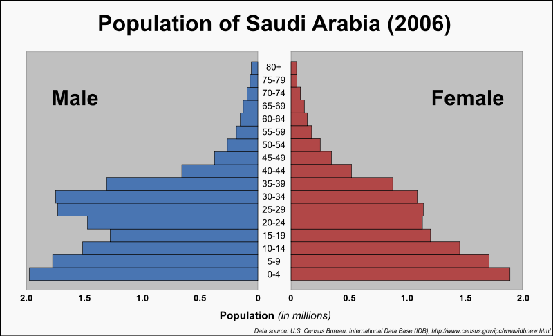 Saudi population statistics.