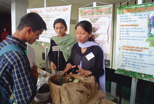 Vendors selling compost kits containing worms that are used in vermicomposting.