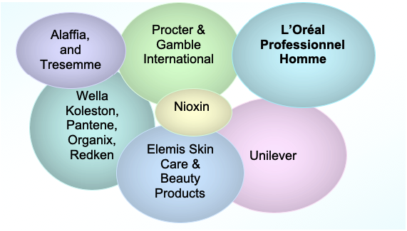 Analysis of the Status of L’Oréal Professionnel.