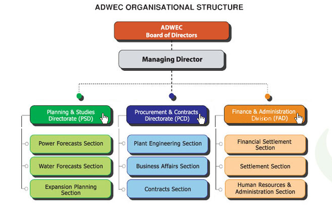 Organizational Structure Adopted by the Company